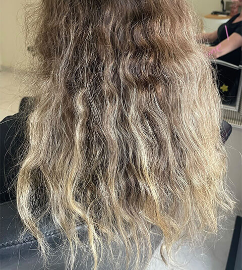 Hair Transition Before